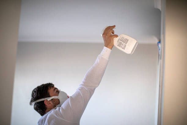 Best Commercial Mold Removal  in Lechee, AZ