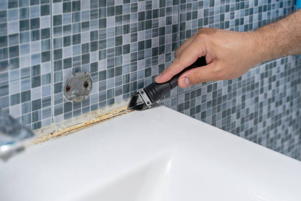 Best Certified Mold Removal  in Lechee, AZ