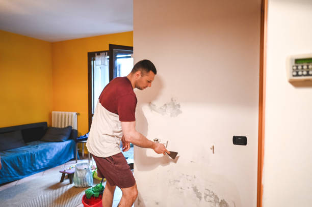 Best Best Mold Removal Companies  in Lechee, AZ